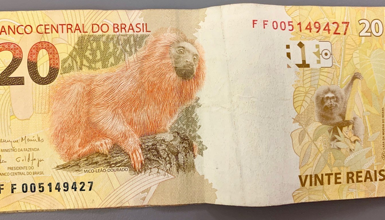 13º Salário: Como é Calculado, Quando é Pago e Quanto Desconta de Imposto de Renda